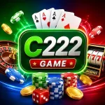 C222 Game